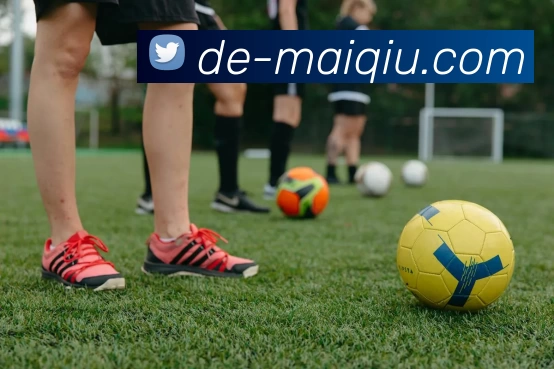 足球买球APP下载平台生态图